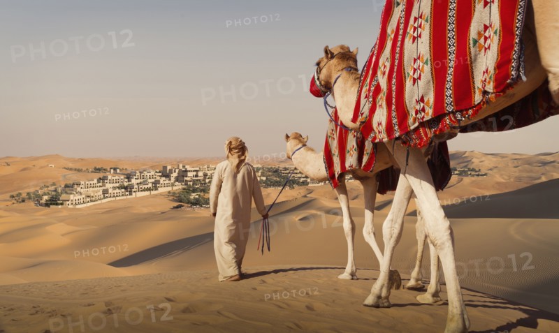 Middle Eastern man walking camels in desert