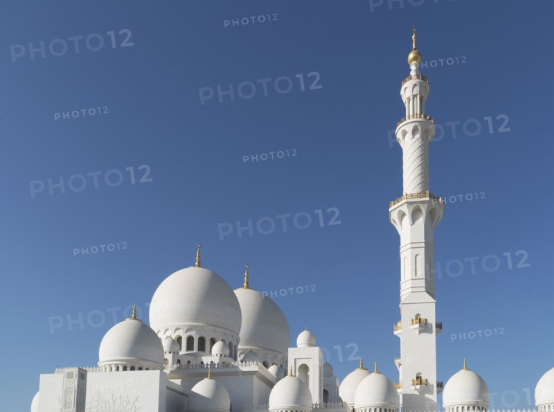 Ornate tower and dome architecture