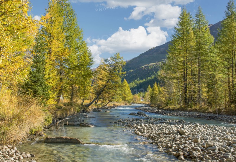 Mountain river and trees in autumn