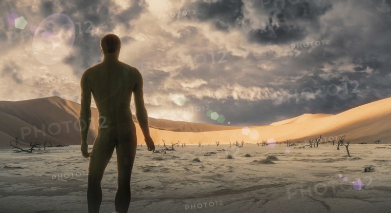 Naked man standing in desert
