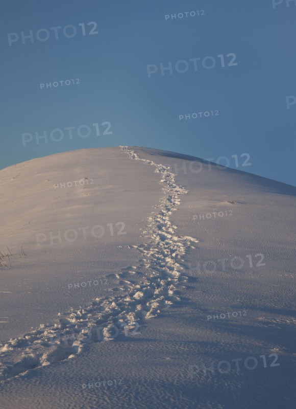 Footprints in snow on hill