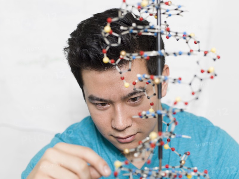 Mixed race student working on double helix model