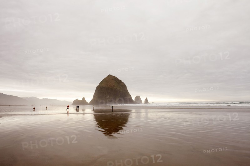 Haystack Rock reflected in surf