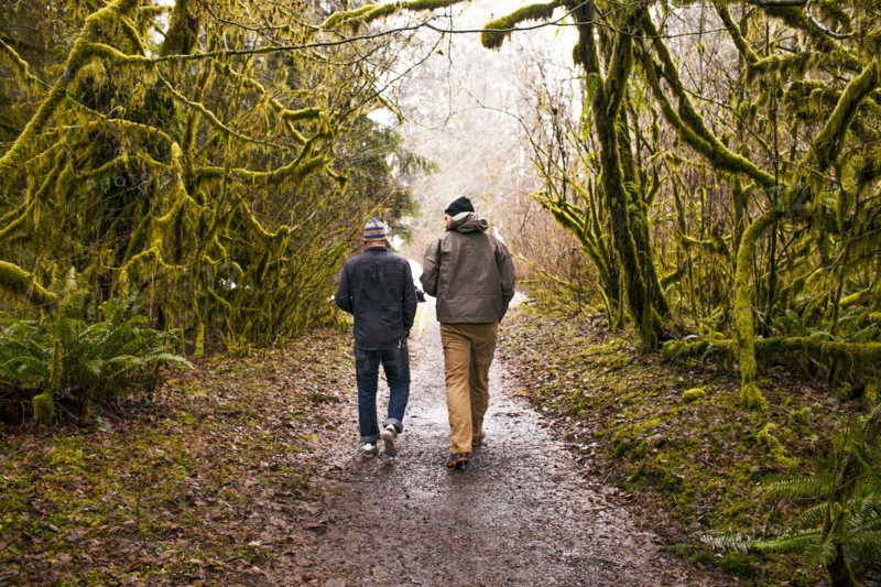 Men walking together in forest