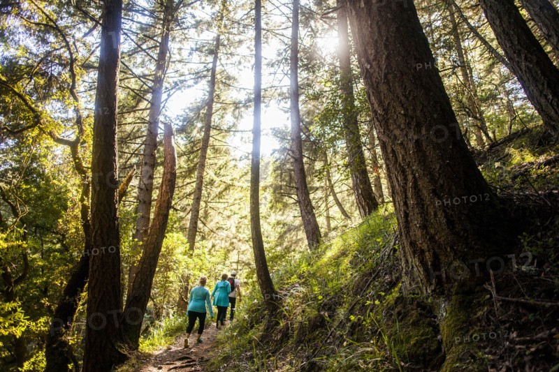 Women hiking in sunny forest