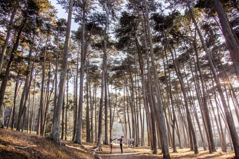 Couple holding hands under trees in forest