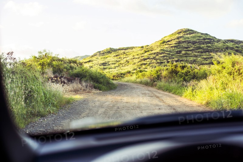 Sandy road viewed through car windshield