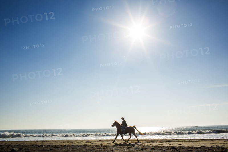 Horseback rider on beach