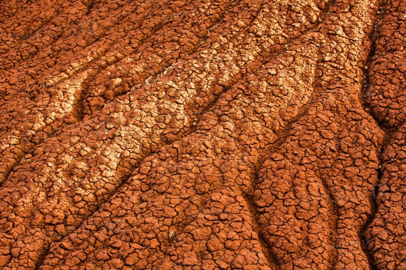 Close up of cracked desert earth on hillside