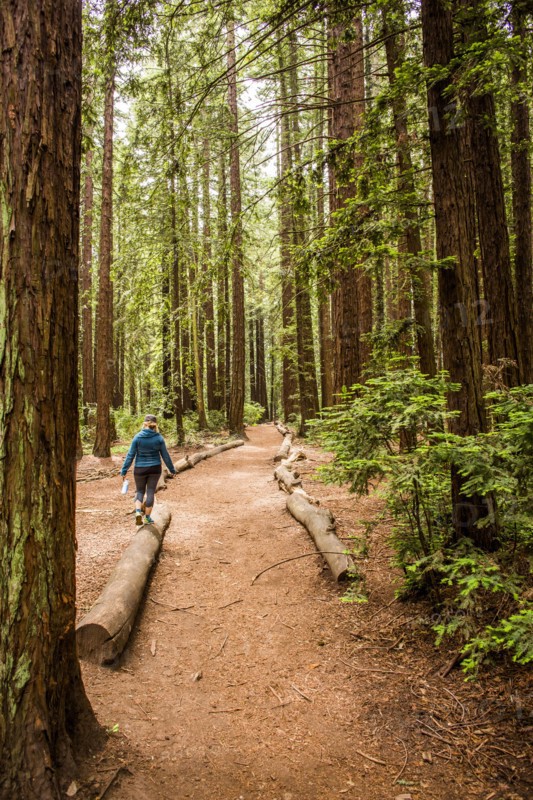 Caucasian woman balancing on log in forest