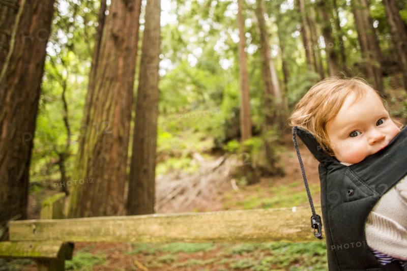 Caucasian baby girl riding in backpack in forest