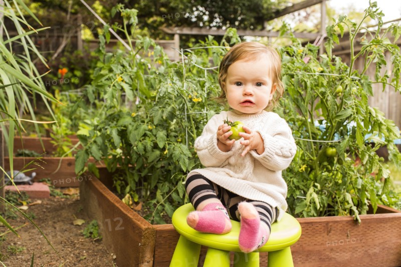 Caucasian baby girl sitting on stool in vegetable garden