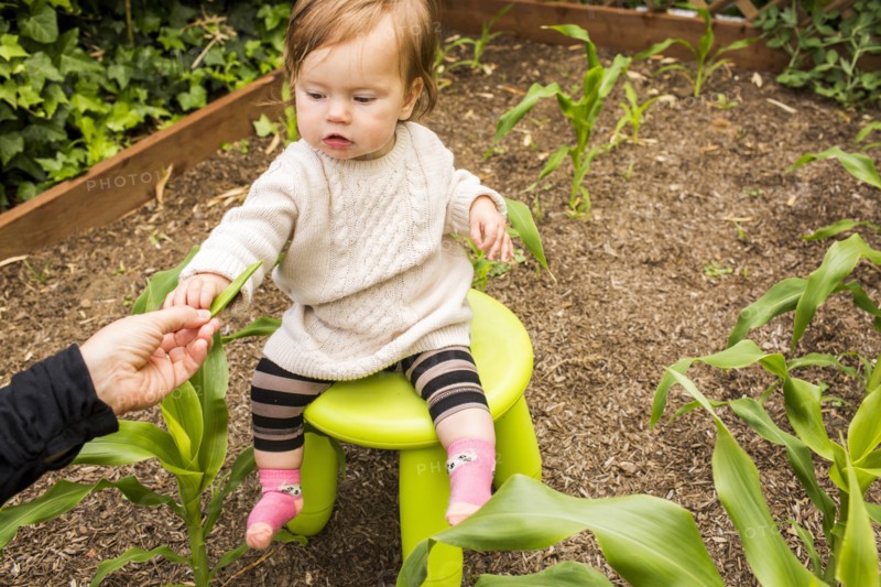 Caucasian mother giving vegetable to daughter in garden