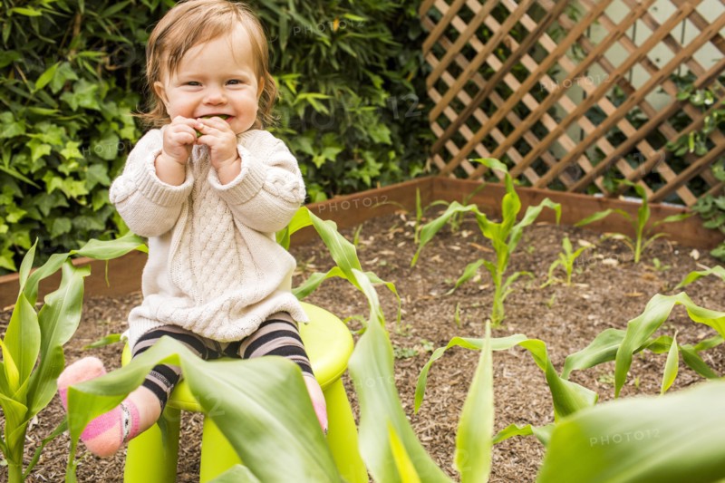 Caucasian baby girl sitting on stool in vegetable garden