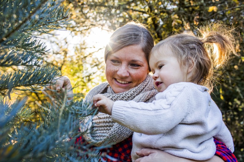 Caucasian mother and daughter admiring tree