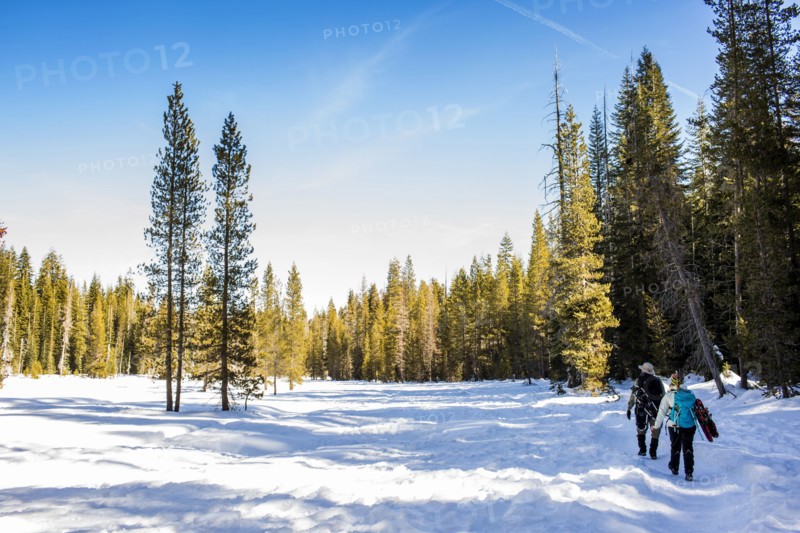 Hikers walking in snowy forest