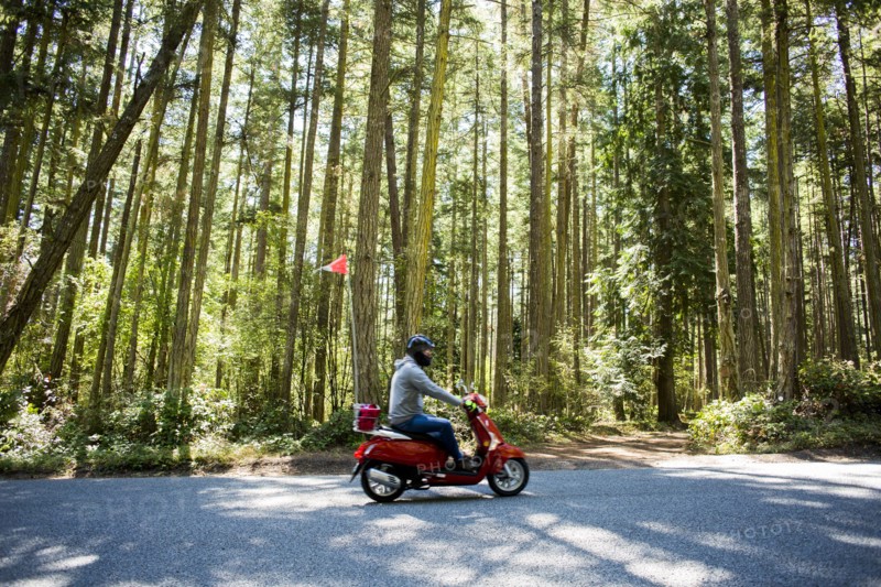 Person riding scooter on road near forest