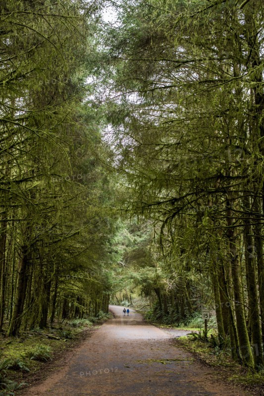Distant people standing in tree-lined street