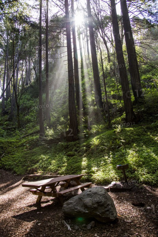 Sunbeams on picnic table in park