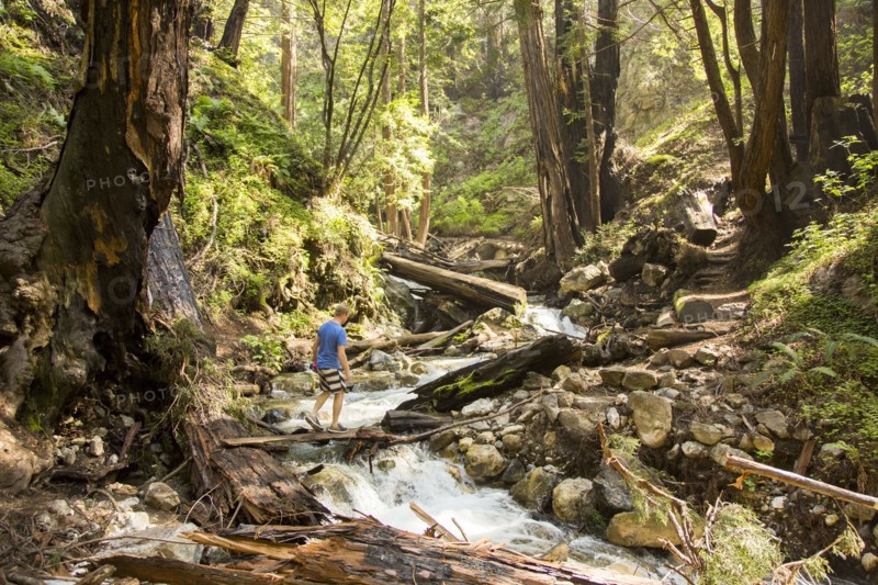 Caucasian man walking on wooden plank over forest stream