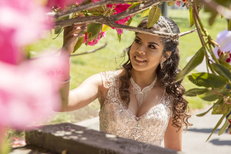 Hispanic girl wearing gown examining tree branch