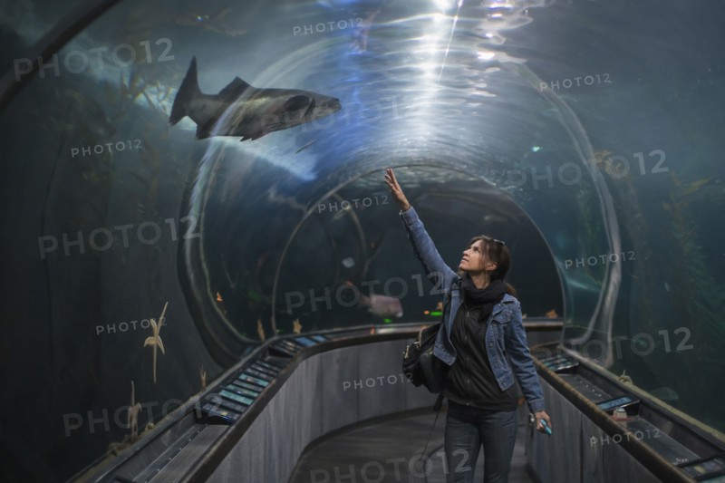 Caucasian woman admiring shark in aquarium tunnel
