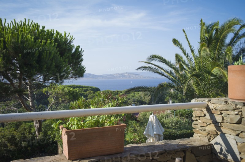 Balcony overlooking treetops and ocean