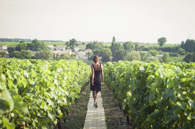 Caucasian woman walking on wooden walkway in vineyard