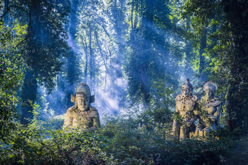 Sunbeams on ancient statues in lush forest