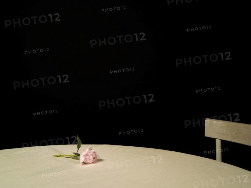 Rose on empty table