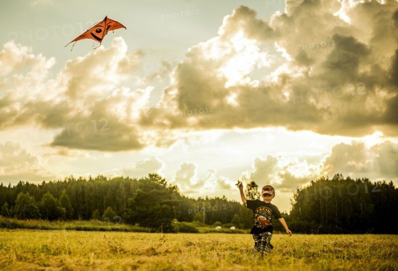 Caucasian boy flying kite in rural field