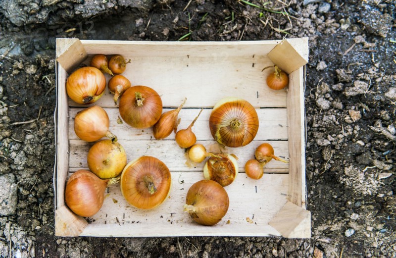 Close up of crate of variety of onions