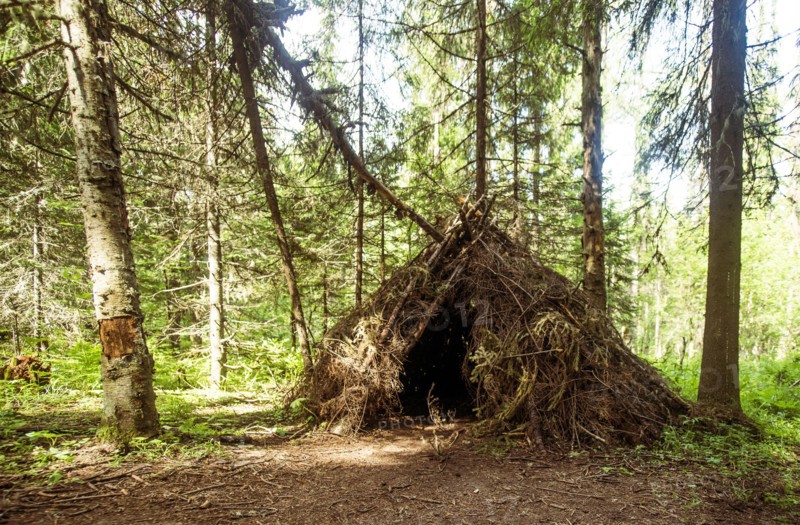 Thatched teepee fort in forest
