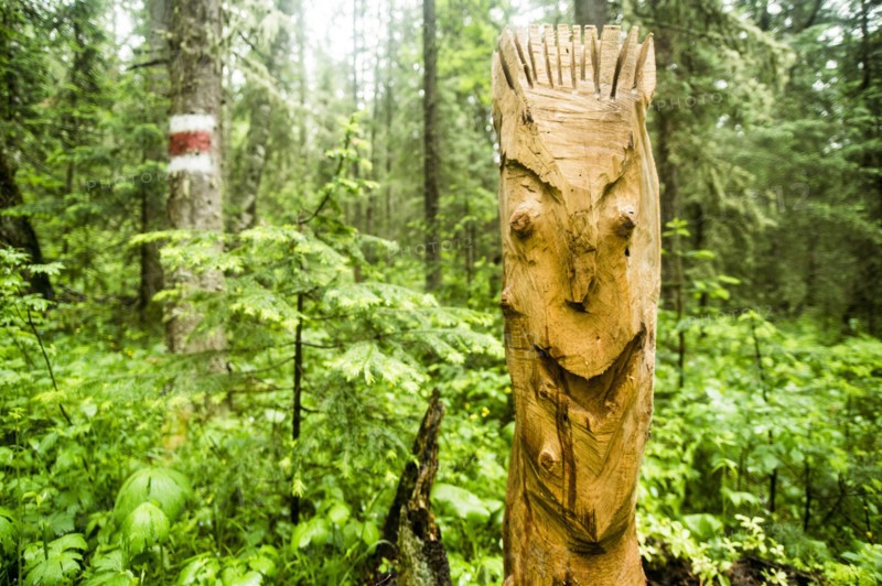 Close up of carved totem pole in forest