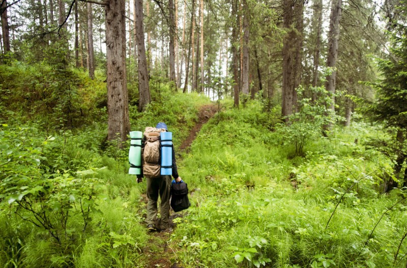 Caucasian hiker carrying backpack in forest