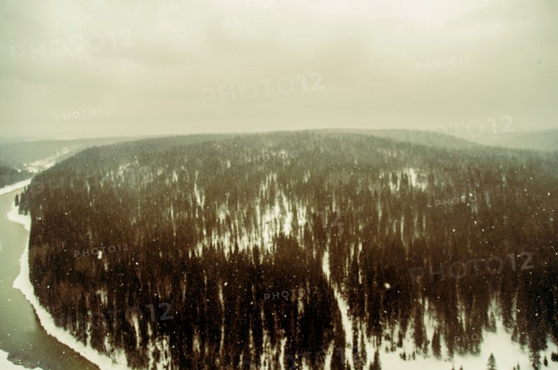 Aerial view of snowy remote forest