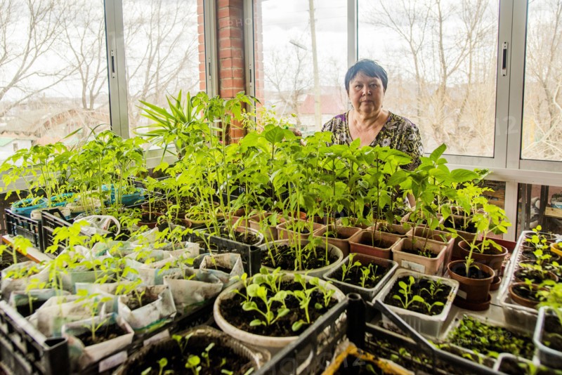 Caucasian woman standing with indoor plants