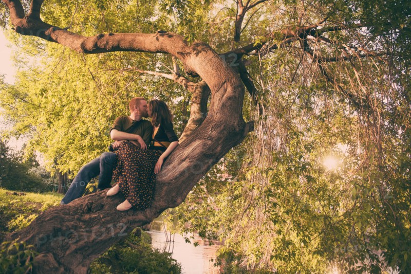 Caucasian couple kissing in tree