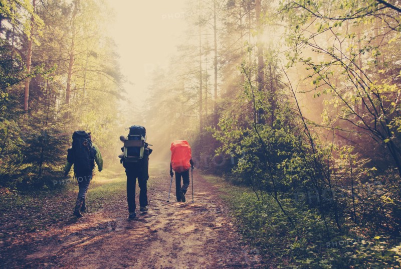 Backpackers hiking on dirt path in forest