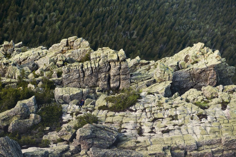 Rocky cliffs over forest treetops in remote landscape