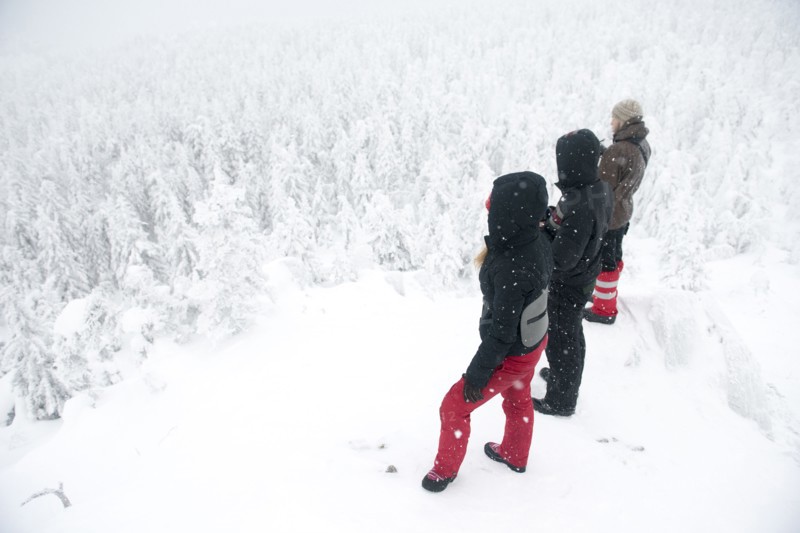 Caucasian hikers on mountaintop admiring snowy forest