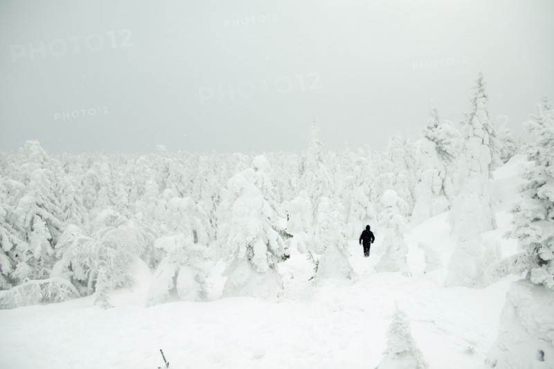 Caucasian hiker walking in snowy forest