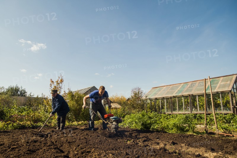 Caucasian men working in garden