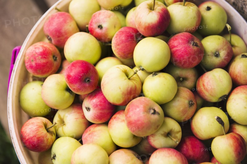 Close up of pile of apples