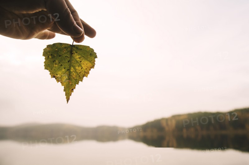 Hand holding autumn leaf at remote lake