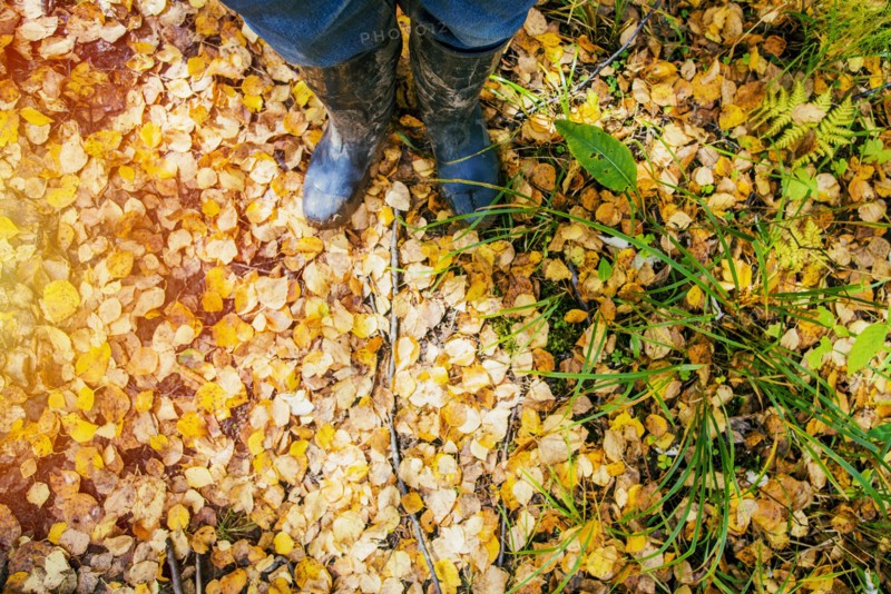 High angle view of woman standing in autumn leaves