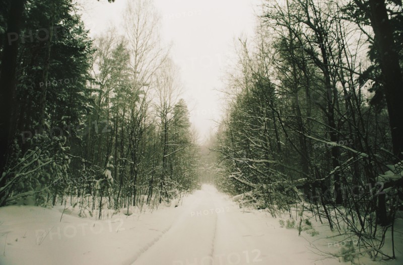 Path in snowy remote forest