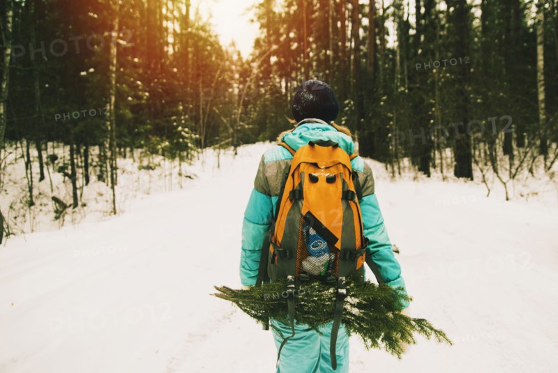 Caucasian hiker carrying branches in snowy forest