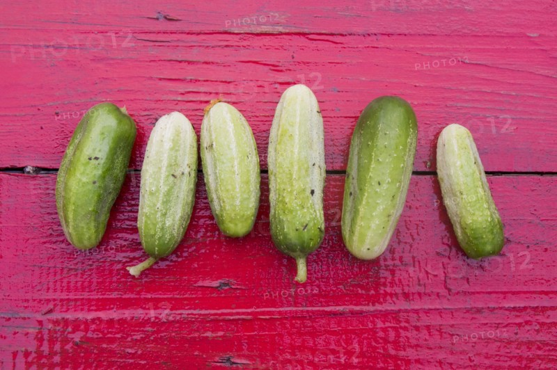 Close up of row of green cucumbers on red wooden table