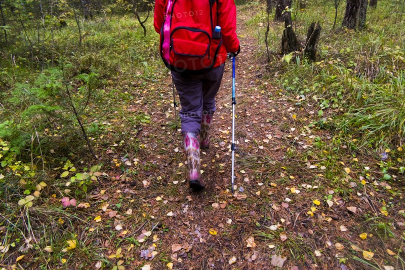Rear view of woman hiking in woods
